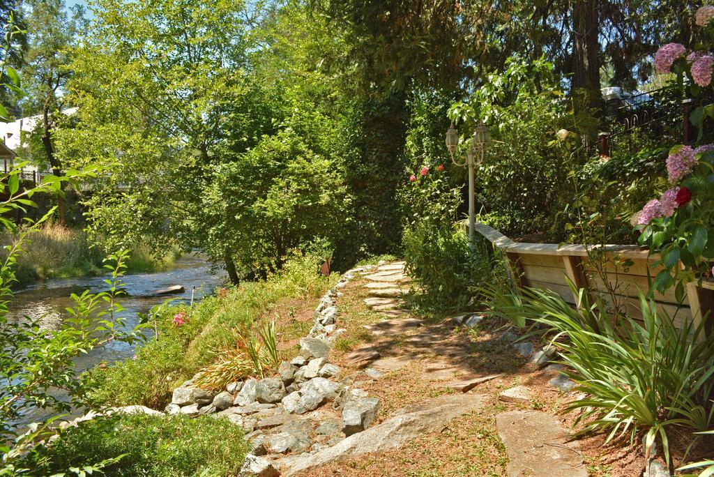 Deer Creek Inn Nevada City Bagian luar foto